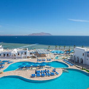 Albatros Palace Sharm - Aqua Park
